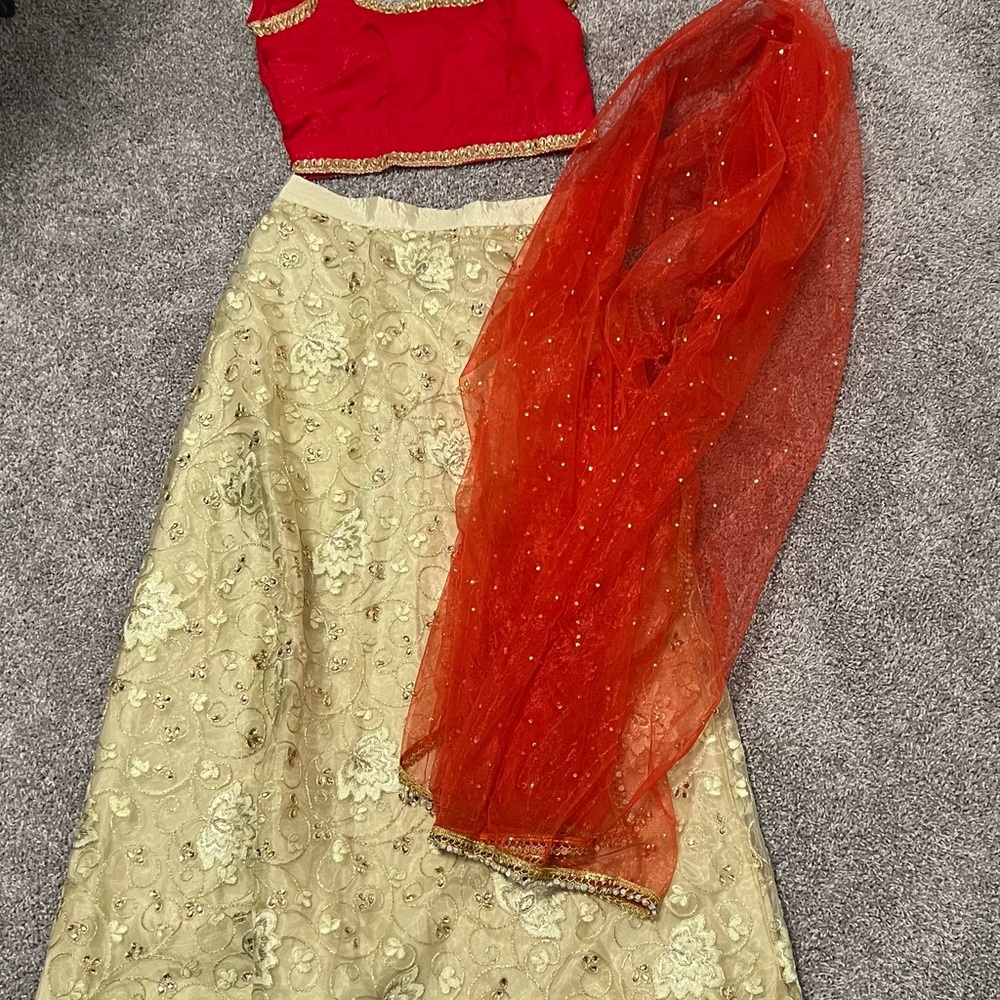 Beautiful Red & Gold Women's Embroidered Lehenga Size Small/Medium